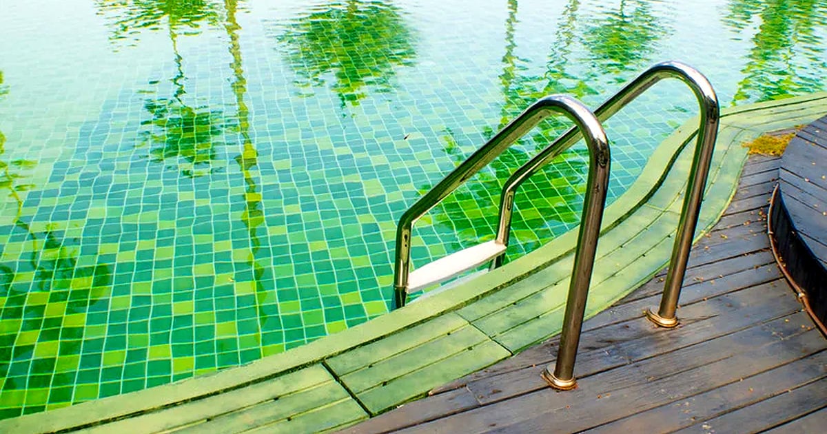 Green Pool Cleanup
